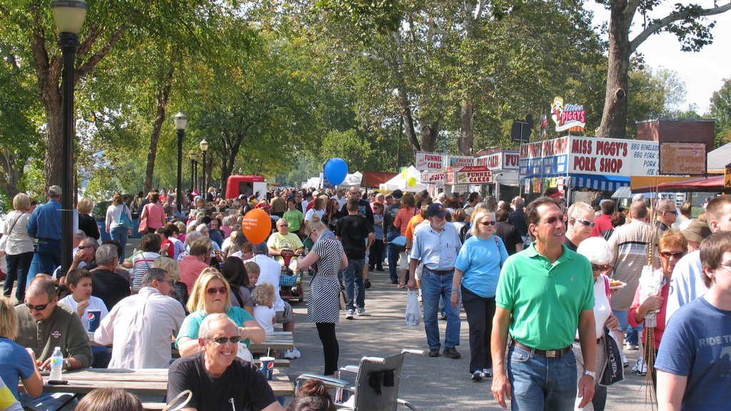 Madison showing street scenes, outdoor eating and a festival