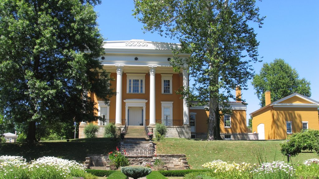 Madison featuring a house and a park