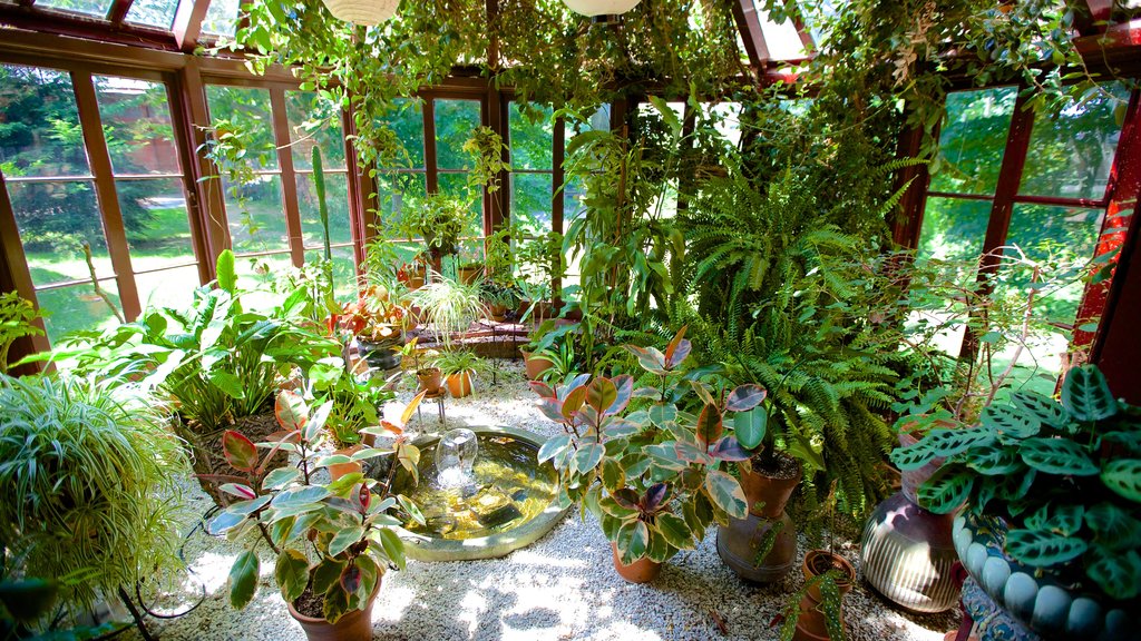 Mark Twain House showing a park, interior views and flowers