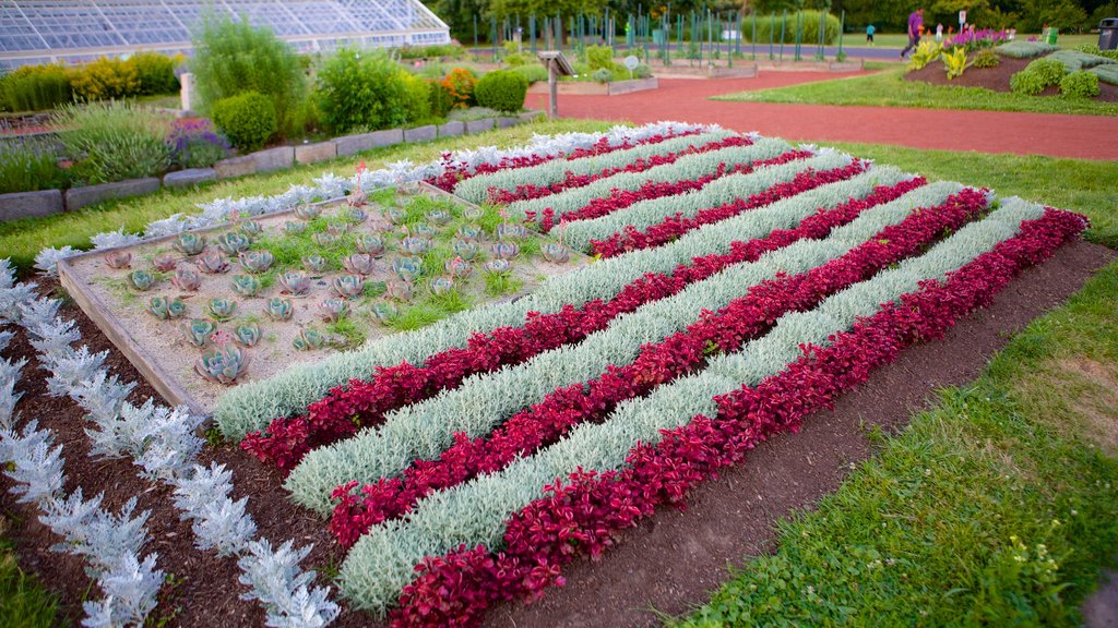 Elizabeth Park presenterar en trädgård och blommor