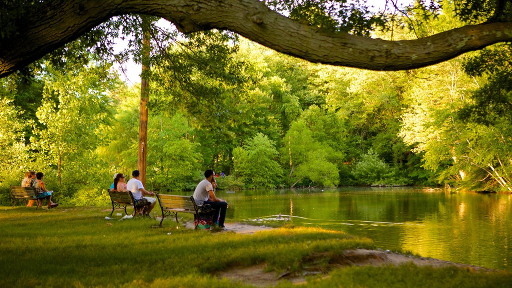 Elizabeth Park showing a garden and a pond as well as a small group of people