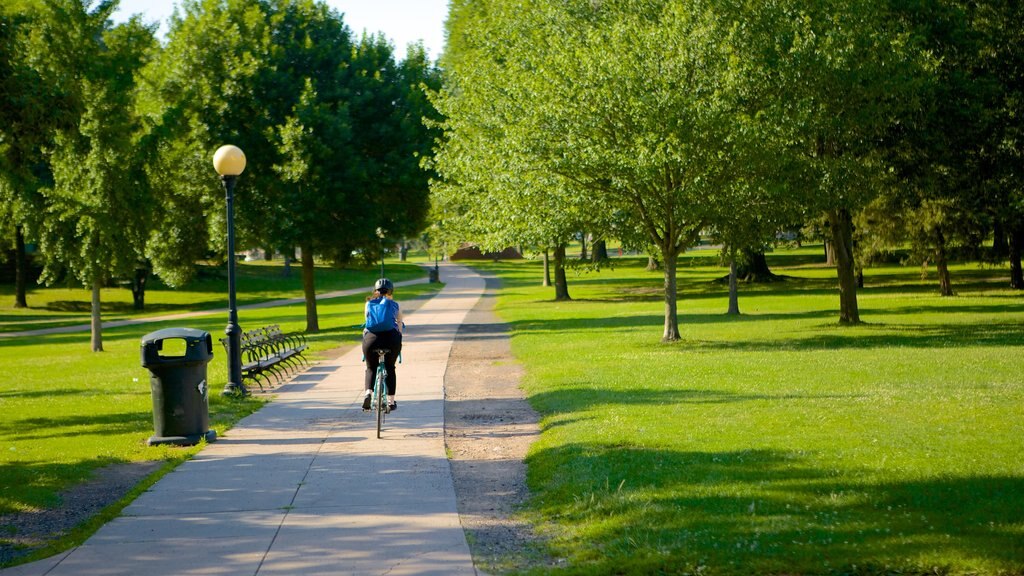 Bushnell Park que inclui ciclismo e um parque assim como uma mulher sozinha