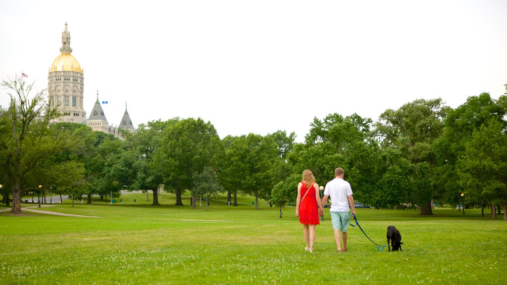 Bushnell Park showing a park as well as a couple