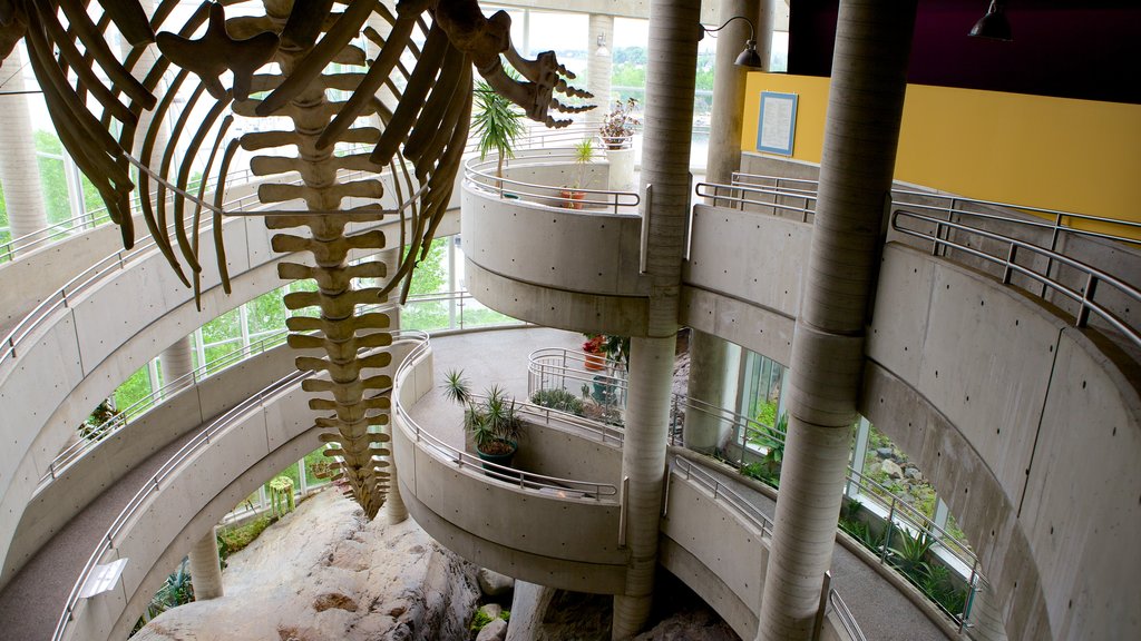 Science North featuring interior views