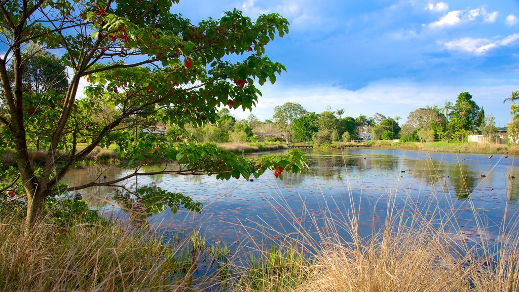 Mapleton featuring a pond and a lake or waterhole