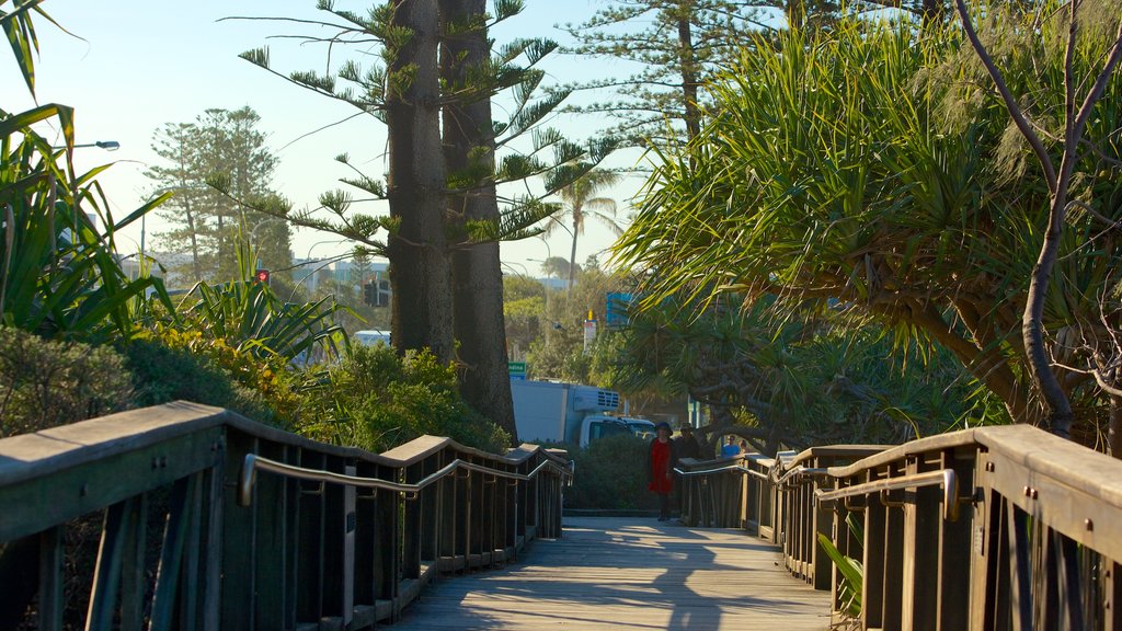 Coolum Beach featuring a bridge