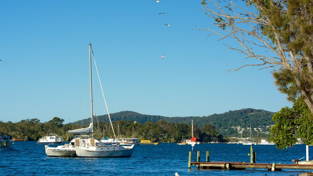 Tewantin featuring boating and general coastal views