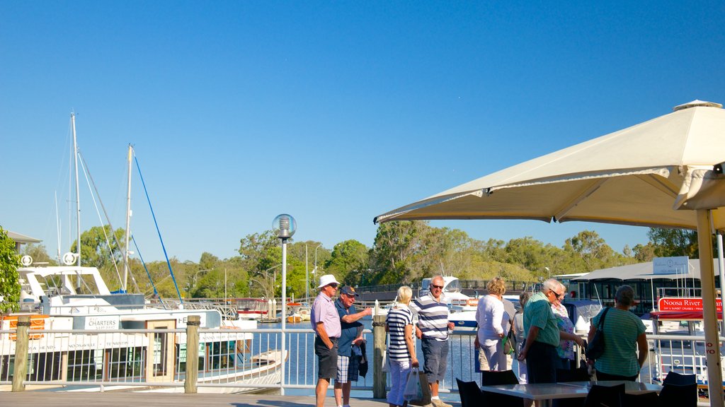 Tewantin featuring general coastal views as well as a large group of people