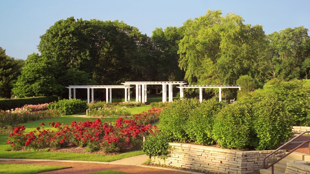 Rockford mostrando flores y un jardín