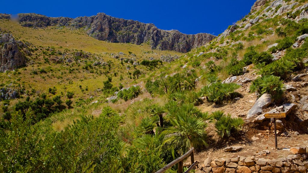 Plage de Zingaro montrant scènes tranquilles et montagnes