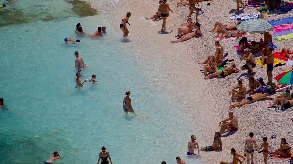 Zingaro Beach showing a sandy beach and swimming as well as a large group of people