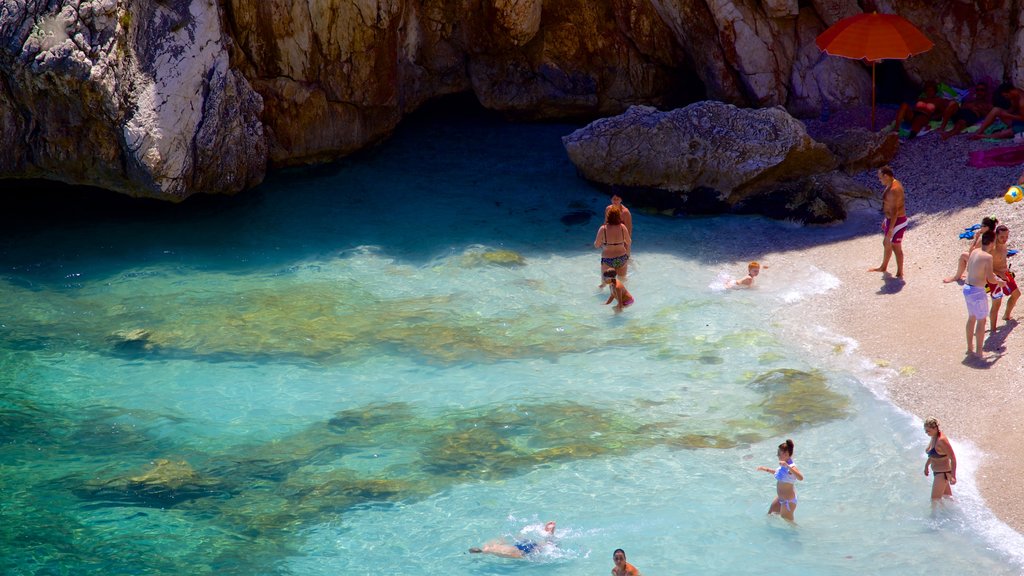 Zingaro Beach which includes rocky coastline, swimming and a sandy beach