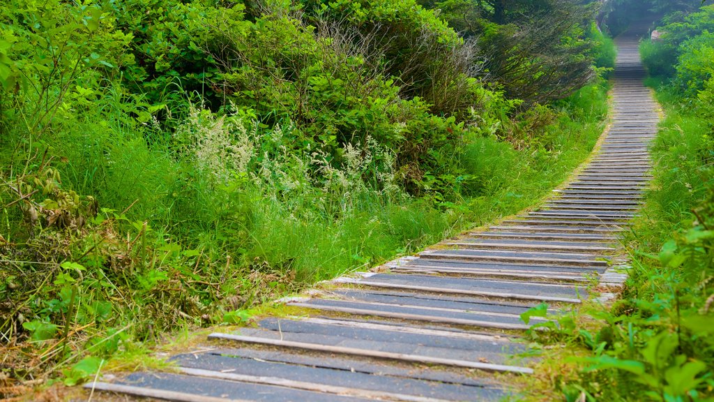 Pacific Rim National Park Reserve showing a garden