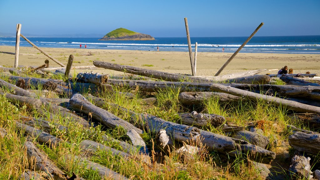 Pacific Rim National Park Reserve qui includes vues littorales