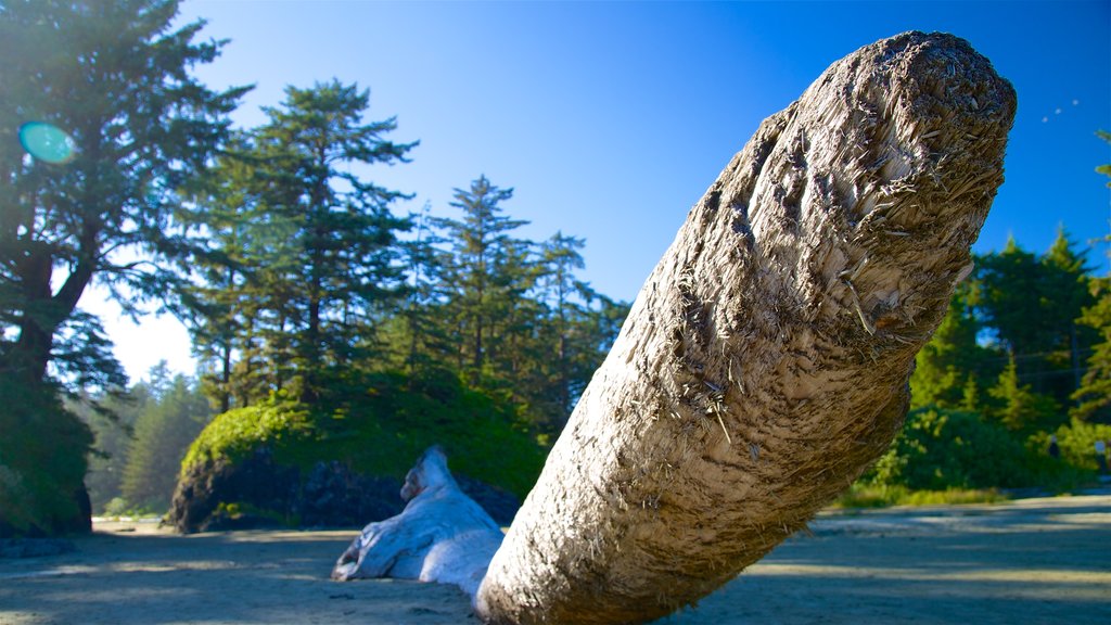 Nationaal park Pacific Rim inclusief een zandstrand