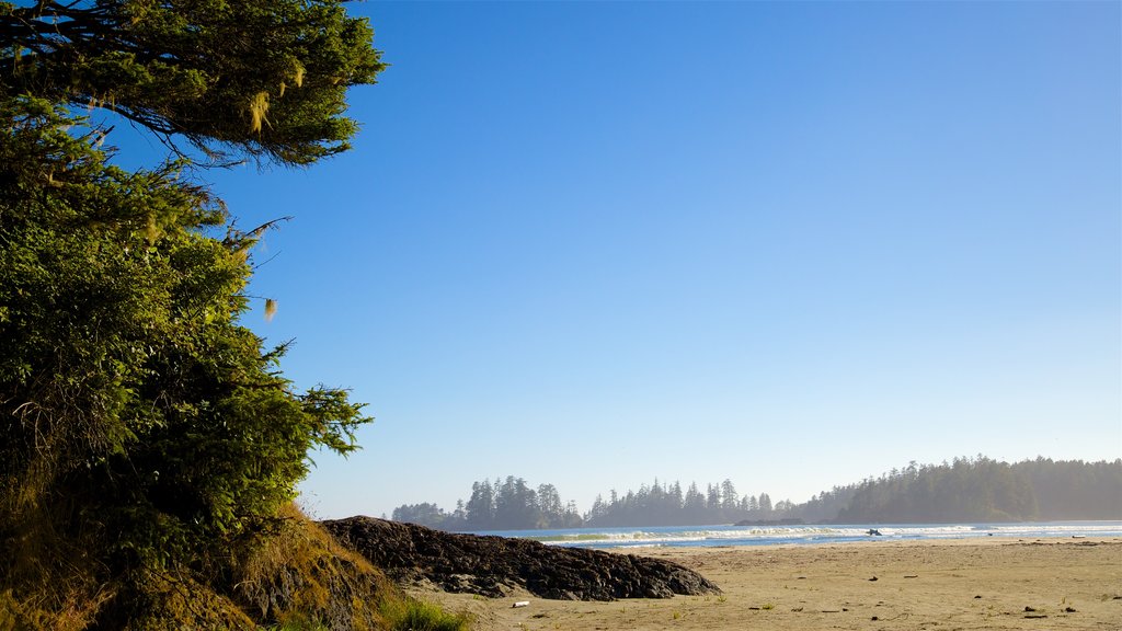 Pacific Rim National Park Reserve showing a sandy beach and general coastal views