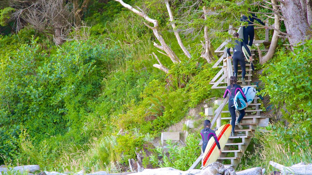 Pacific Rim National Park Reserve featuring surfing and general coastal views as well as a large group of people