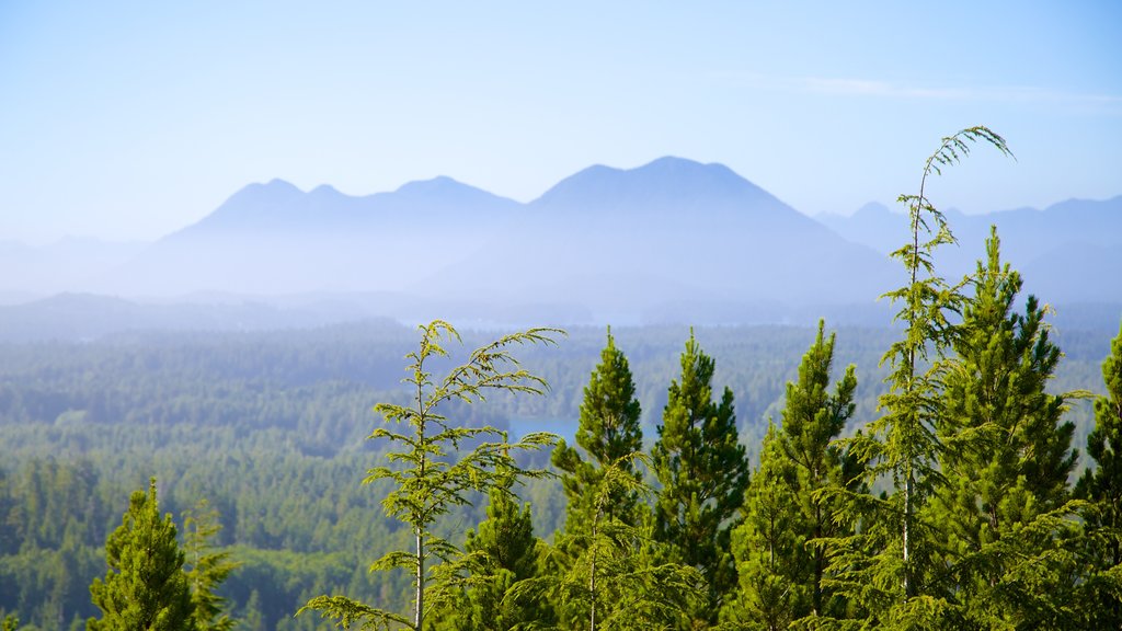 Radar Hill featuring mist or fog, landscape views and forest scenes