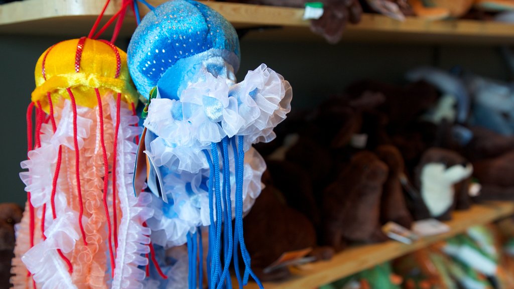 Ucluelet Aquarium showing shopping