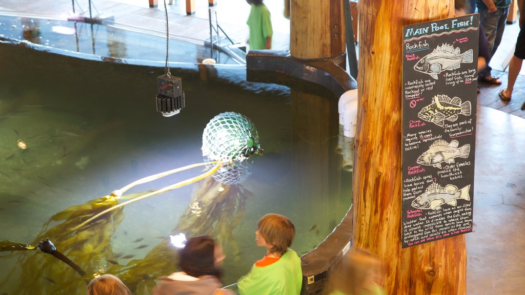 Ucluelet Aquarium showing marine life as well as a small group of people