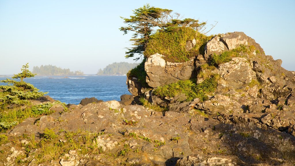 Wild Pacific Trail which includes rocky coastline and general coastal views