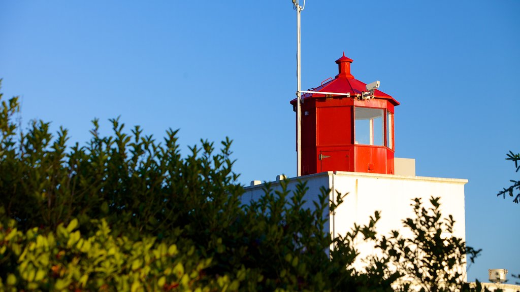 Wild Pacific Trail showing a lighthouse