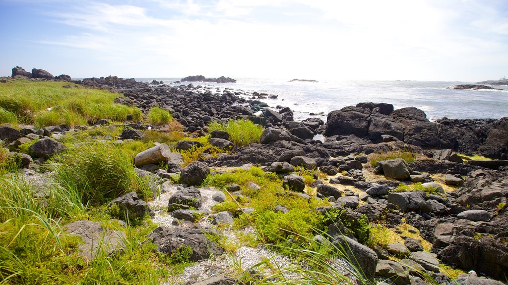 Ucluelet Big Beach which includes rocky coastline