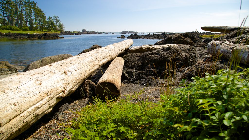 Ucluelet Big Beach showing general coastal views and a river or creek