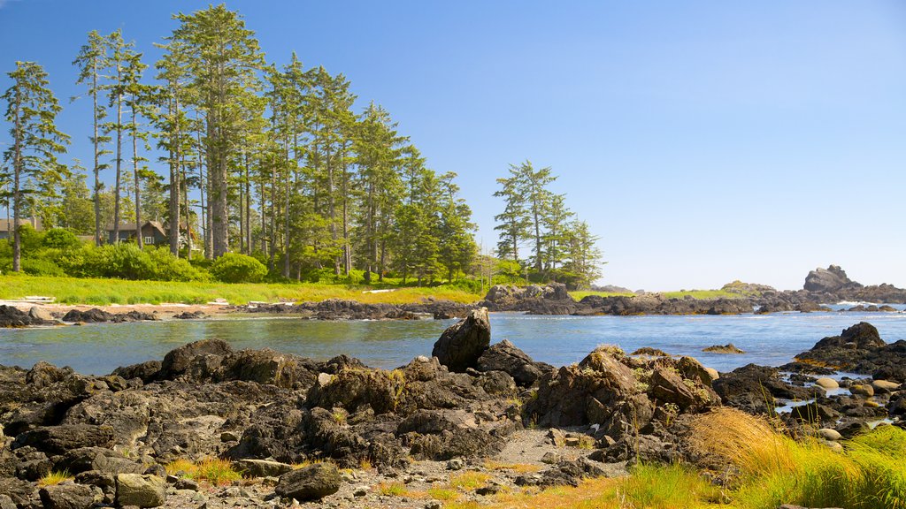 Ucluelet Big Beach which includes a lake or waterhole and a river or creek