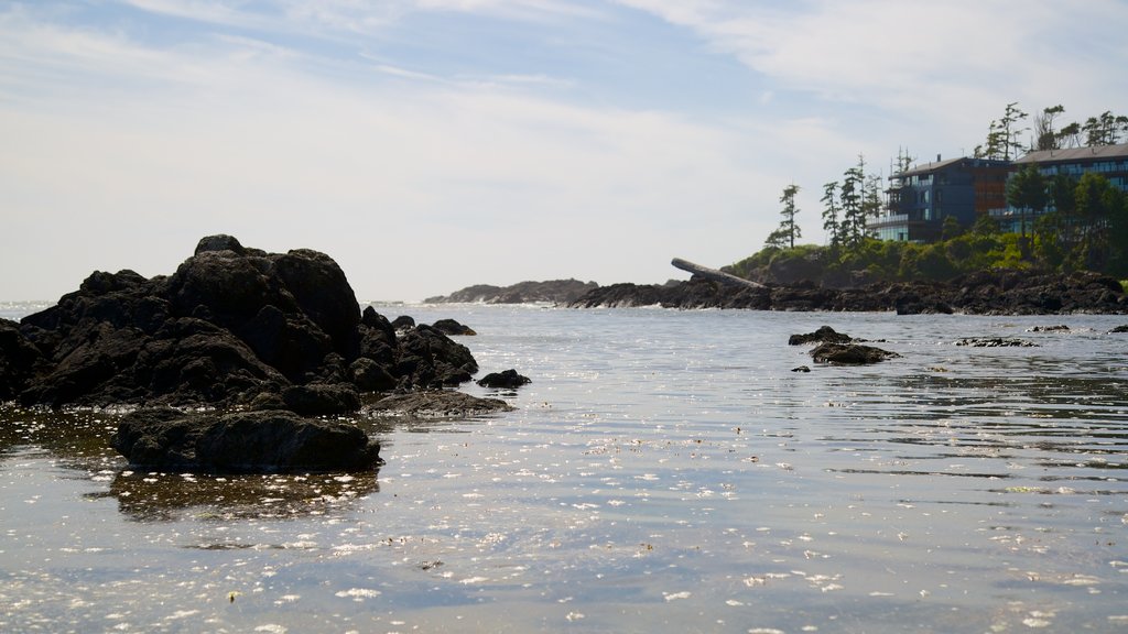 Ucluelet Big Beach which includes rocky coastline