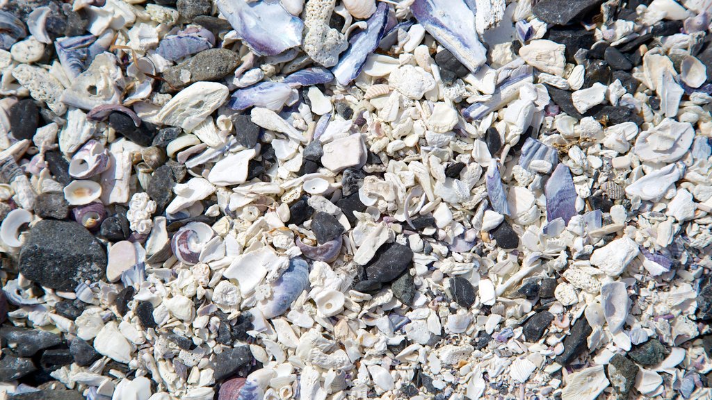 Ucluelet Big Beach showing a pebble beach