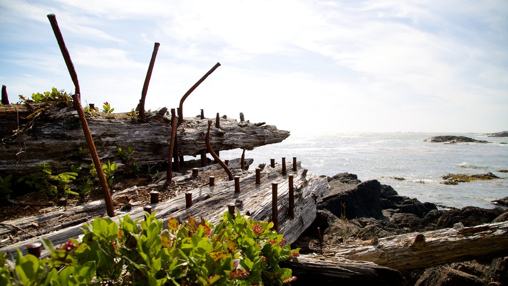 Ucluelet Big Beach which includes general coastal views