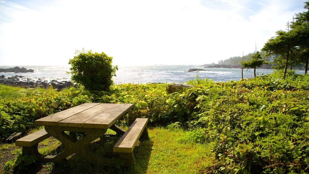 Ucluelet Big Beach showing general coastal views