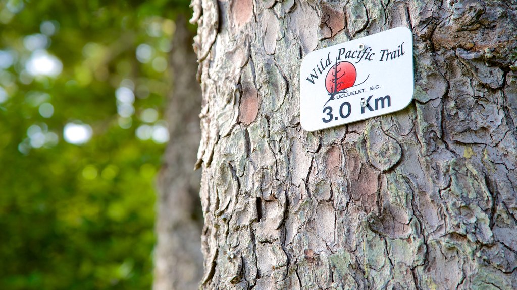 Ucluelet Big Beach featuring signage, forests and hiking or walking