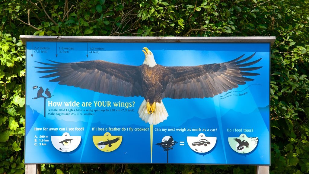 Ucluelet Big Beach showing signage