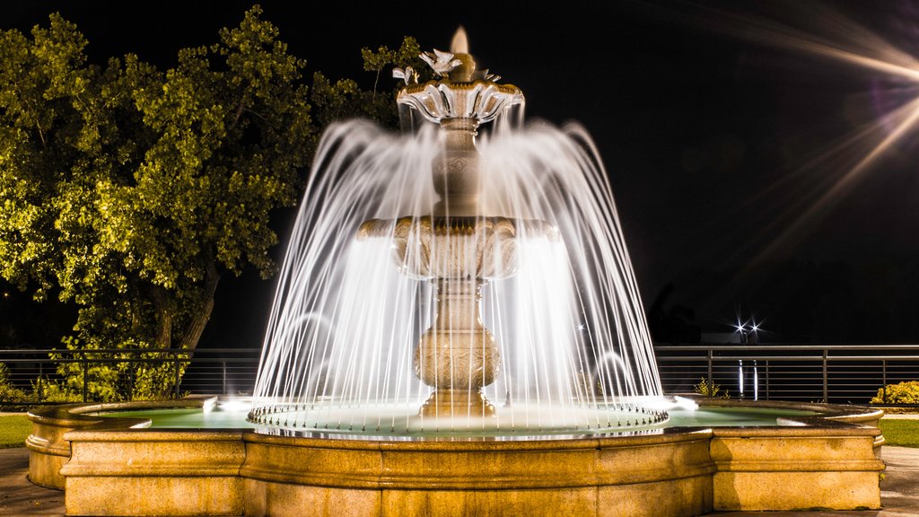 La Crosse mostrando paesaggio notturno e fontana