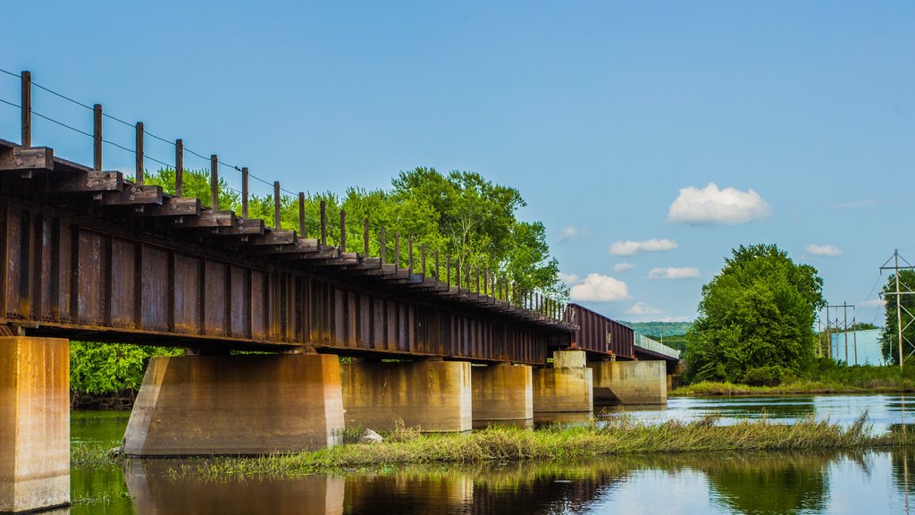 La Crosse montrant une rivière ou un ruisseau et un pont