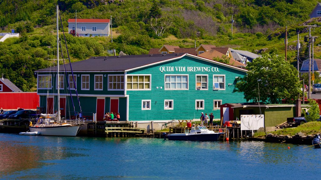 Quidi Vidi som visar kustutsikter och en hamn eller havsbukt