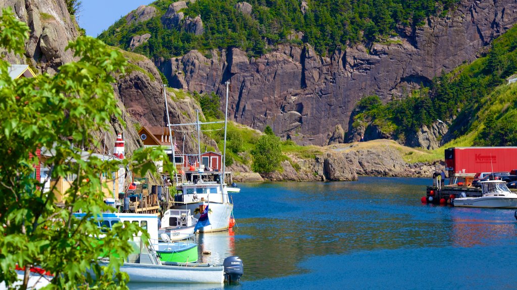 Quidi Vidi showing boating and general coastal views