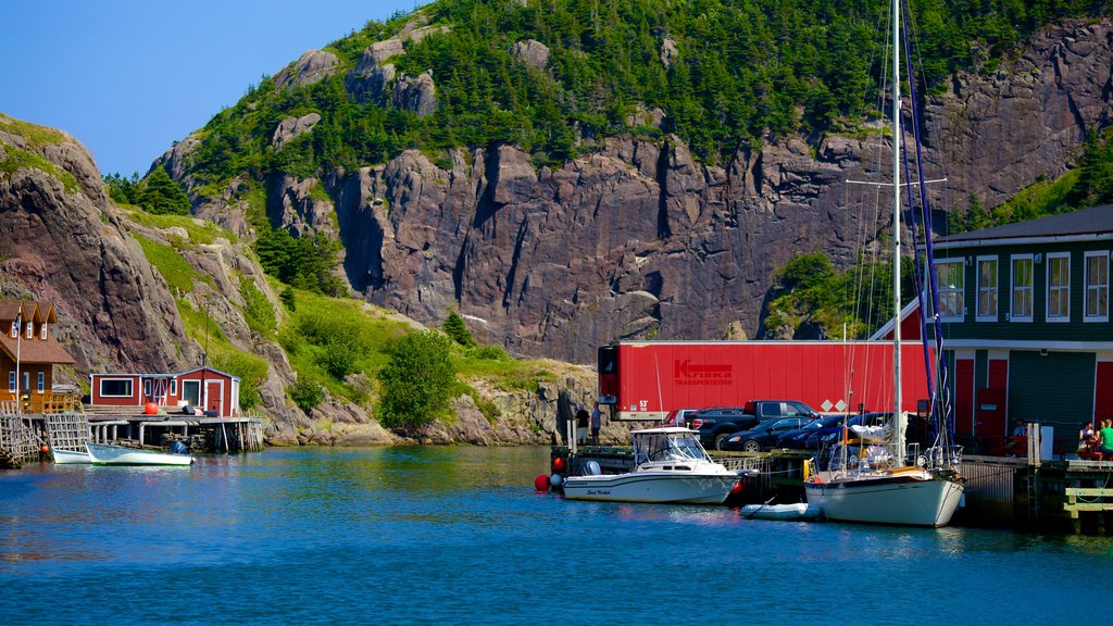 Quidi Vidi which includes a marina