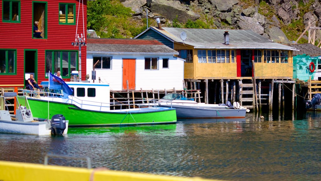 Quidi Vidi featuring a marina