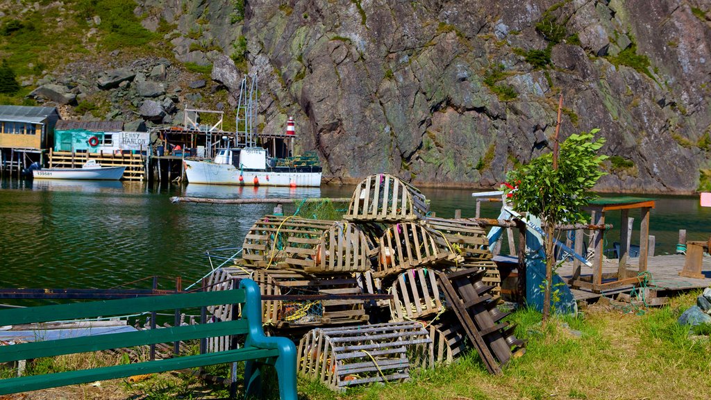 Quidi Vidi which includes a marina