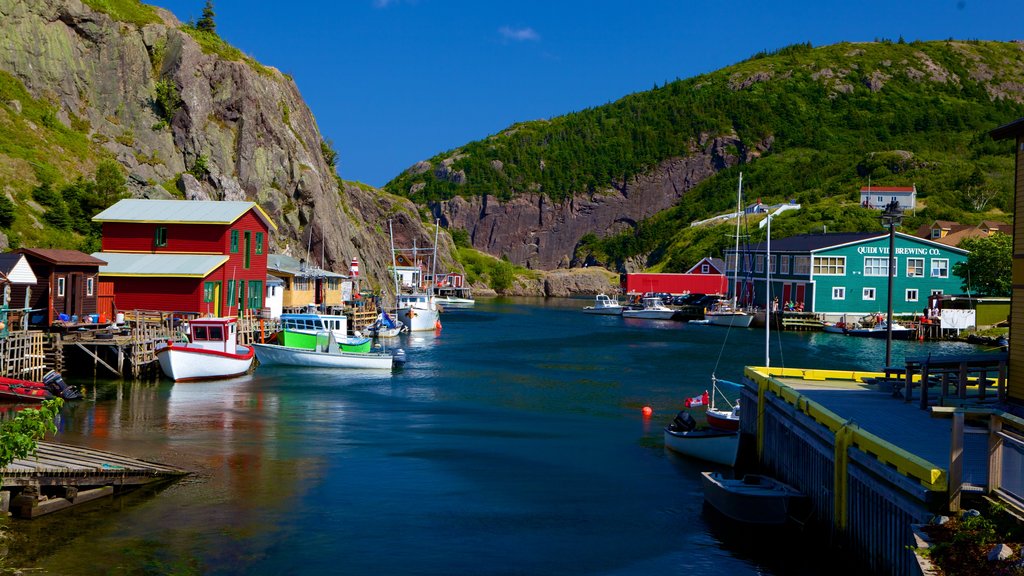 Quidi Vidi showing a marina