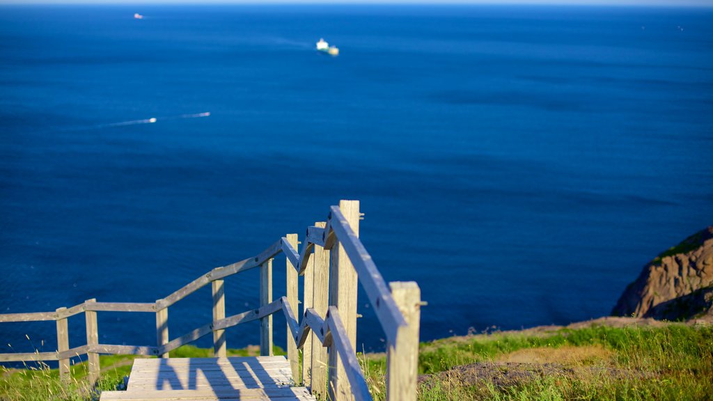 Signal Hill showing general coastal views