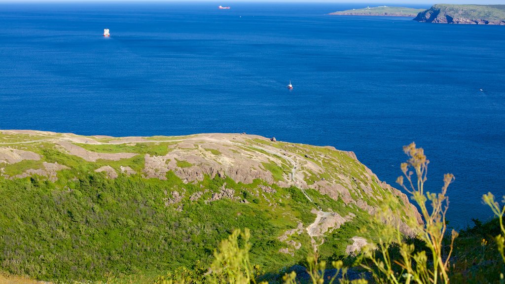 Cabot Tower showing general coastal views