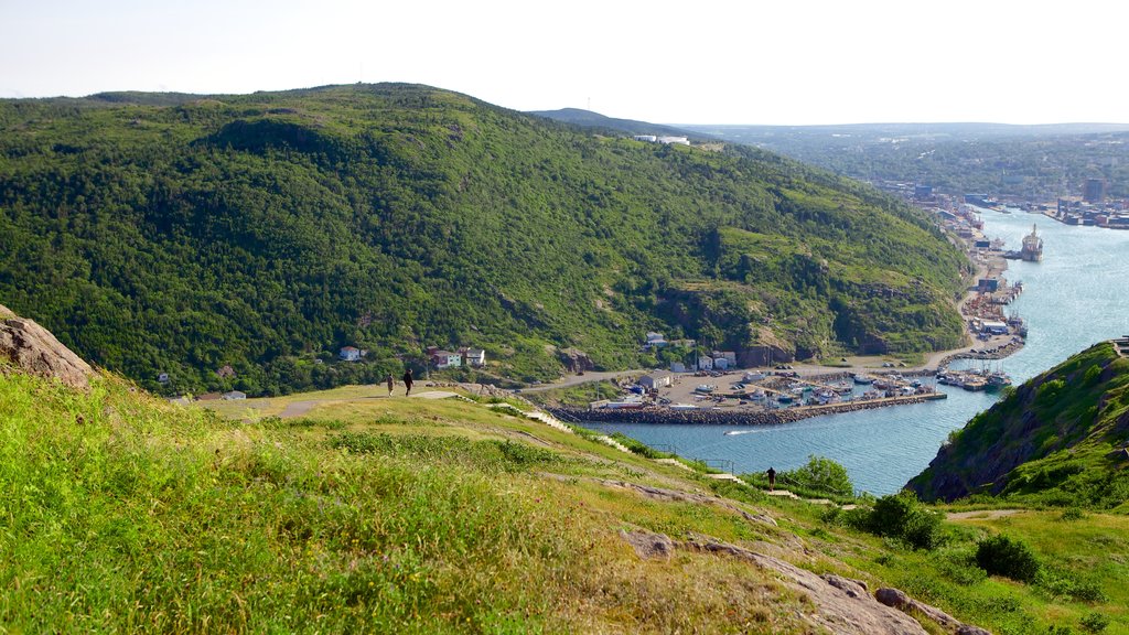 Cabot Tower which includes a bay or harbour and landscape views