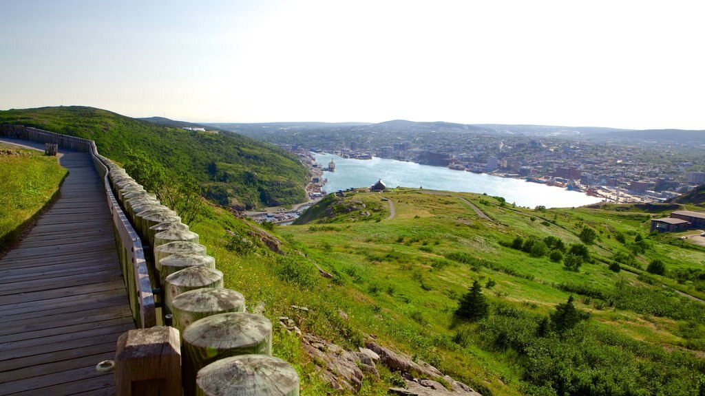 Cabot Tower which includes a city, a bay or harbor and landscape views