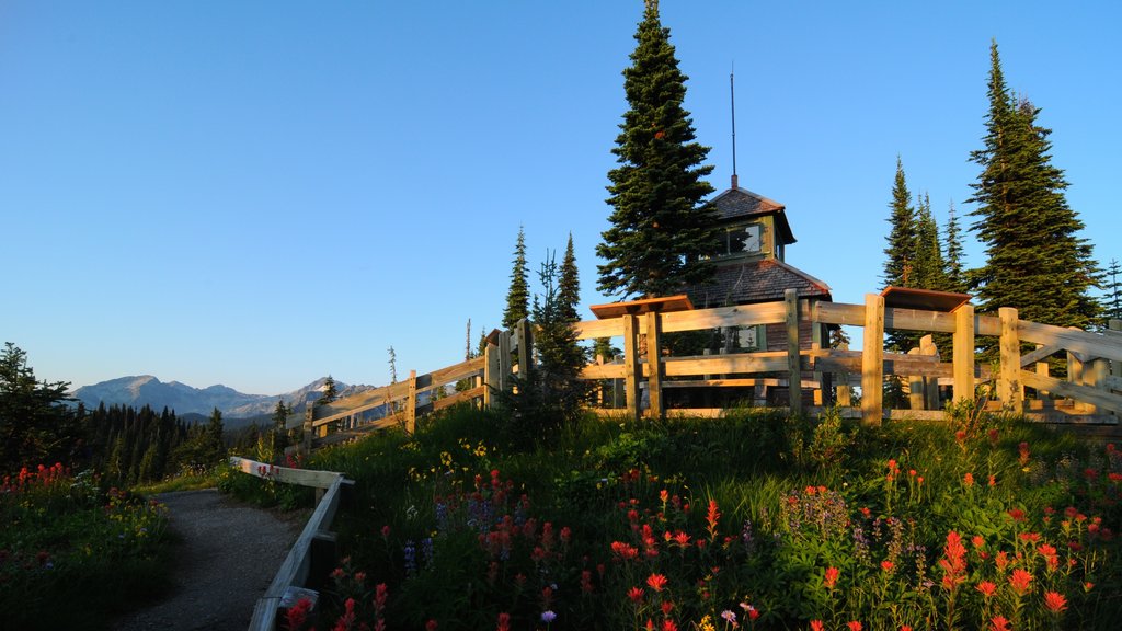 Revelstoke som omfatter blomster og fredfyldte omgivelser