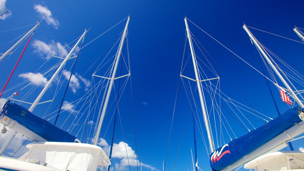 Raiatea showing a marina