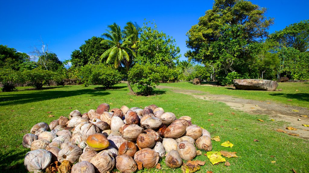 Marae Taputapuātea caracterizando um jardim